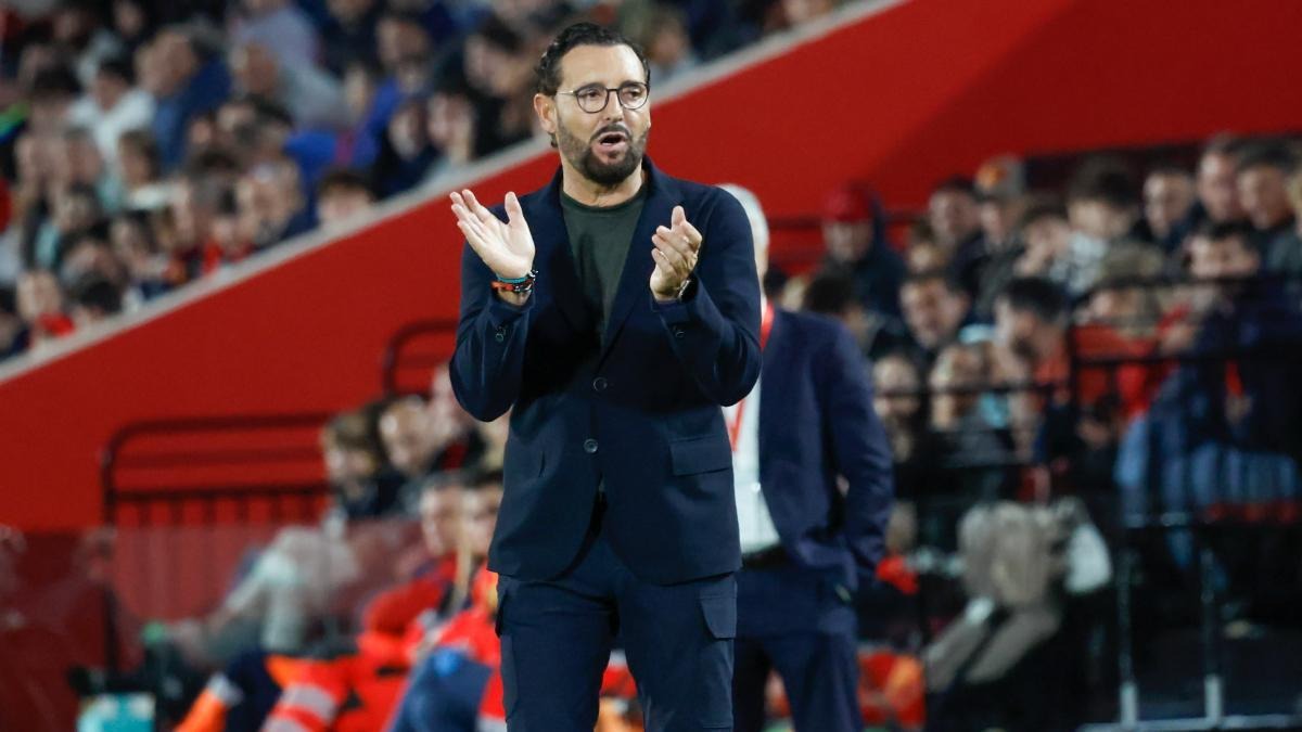 Bordalás, on Crystal Palace's agenda