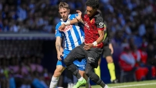 The RCD Mallorca is interested in a key player from RCD Espanyol | Diario de Mallorca