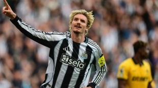 Woltemade not taken into account for Newcastle / fotmob