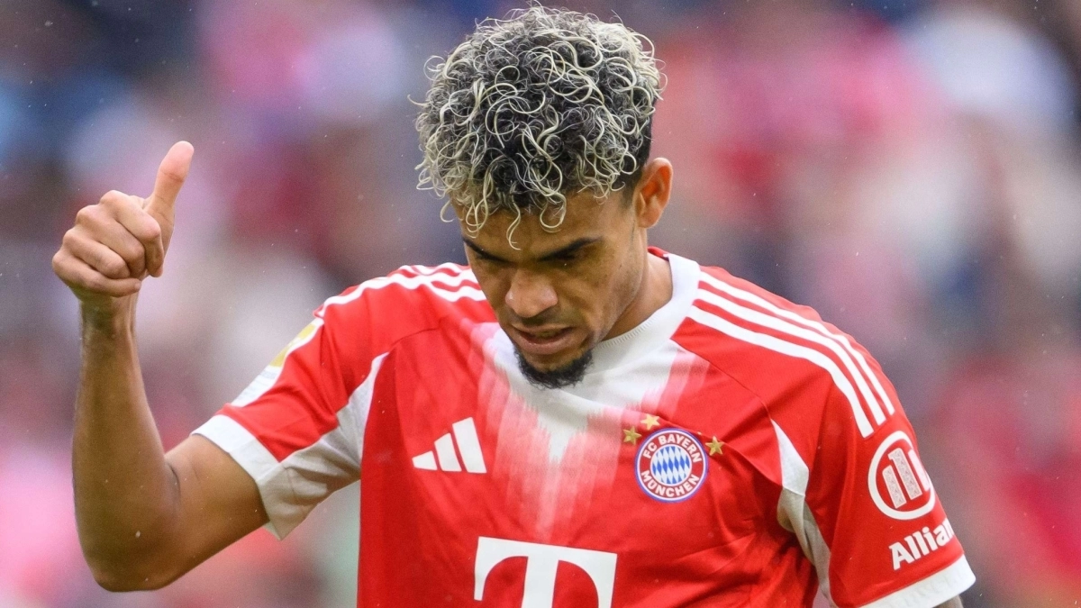<p>Bayern Munich tried to sign Cody Gakpo / Goal</p>