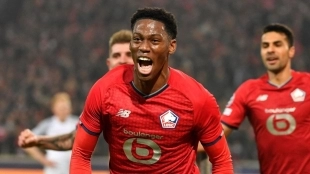<p>Jonathan David, Canadian player for Lille.</p>